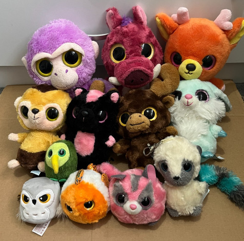 Bundle 12x aurora - bundle, of